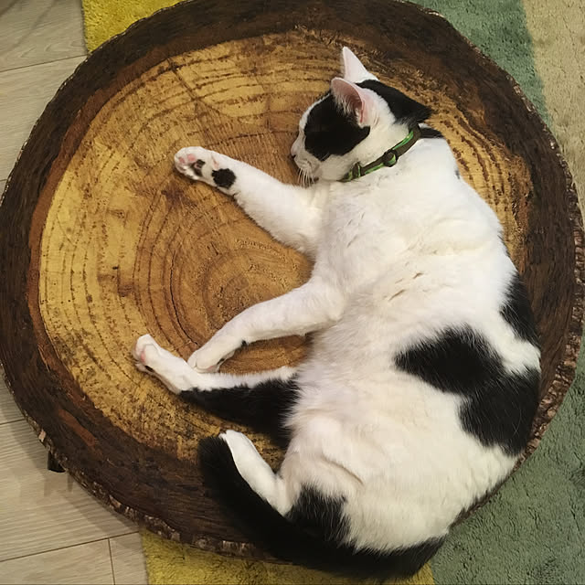 hanaさんの実例写真