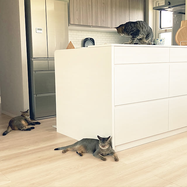 ナチュラル/北欧/ニトリ/無印良品/キッチンのインテリア実例 - 2021-06-09 11:18:13