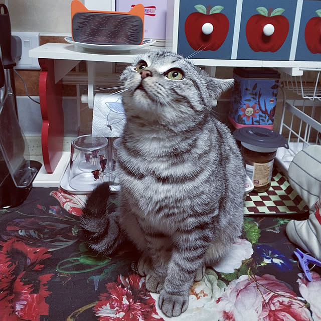wendyさんの実例写真