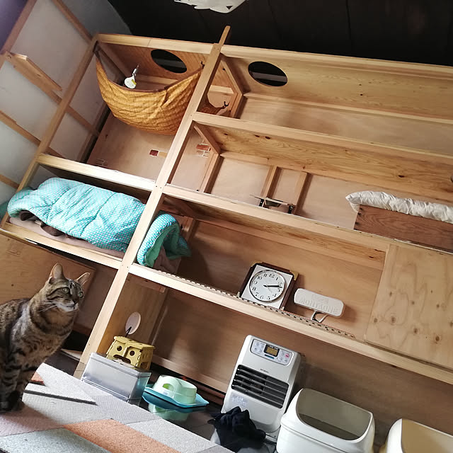 y8giyaさんの実例写真