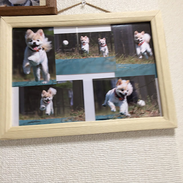 yamasanさんの実例写真