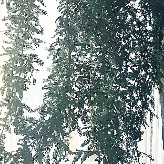 sunflowerさんの実例写真