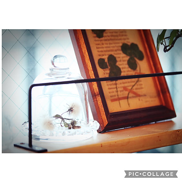 Rinrinfrenchさんの実例写真