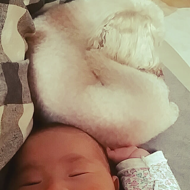 katuminaloveさんの実例写真