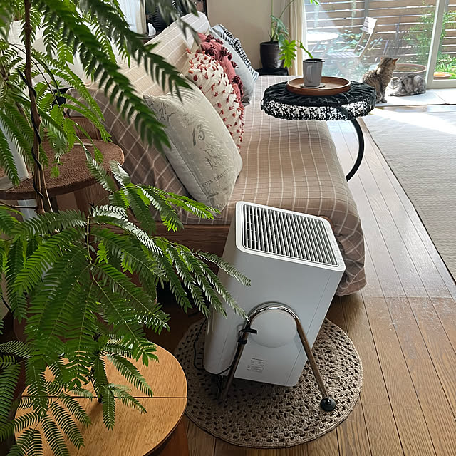 kuuさんの実例写真