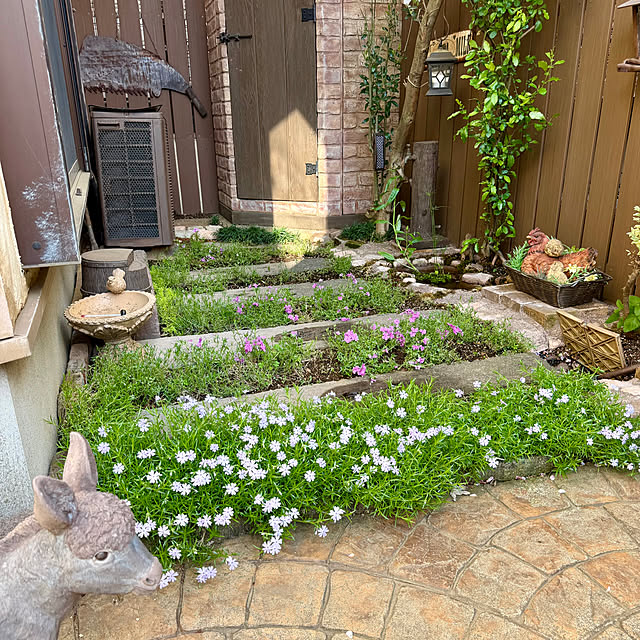 tabasaさんの実例写真