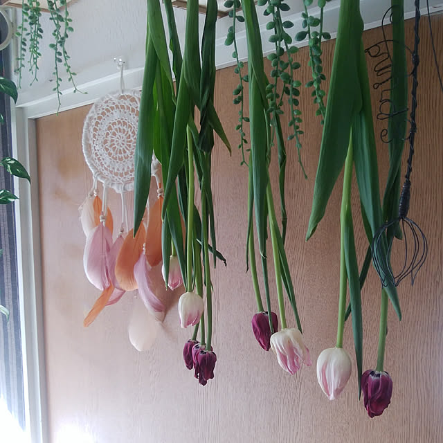 miwaさんの実例写真
