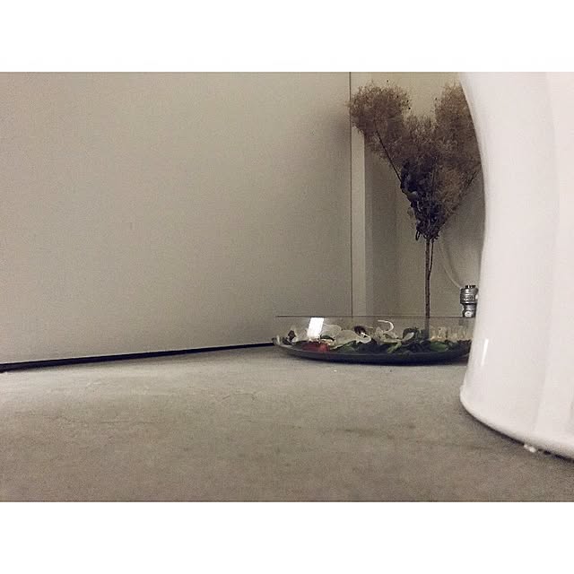 sot1127さんの実例写真