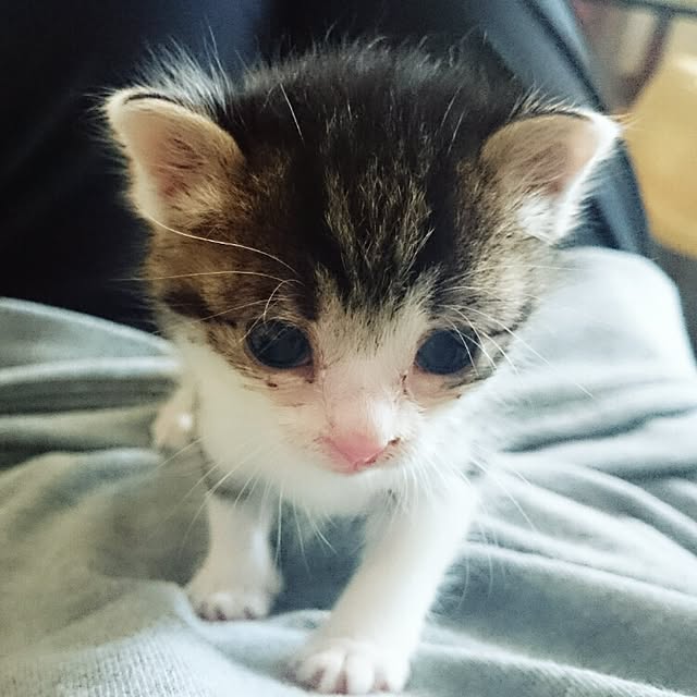 kiraさんの実例写真