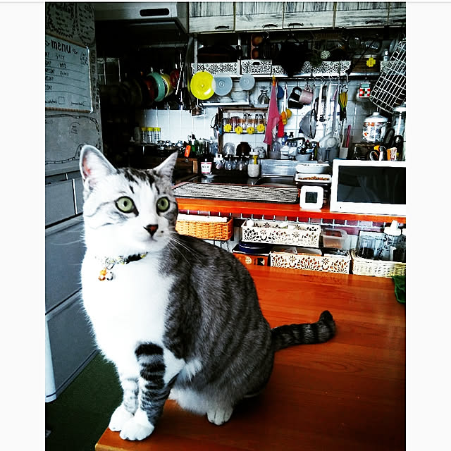 mntcさんの実例写真