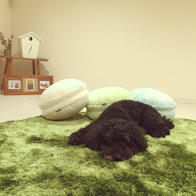 Mamiyさんの実例写真