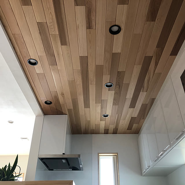 todonekomaiさんの実例写真