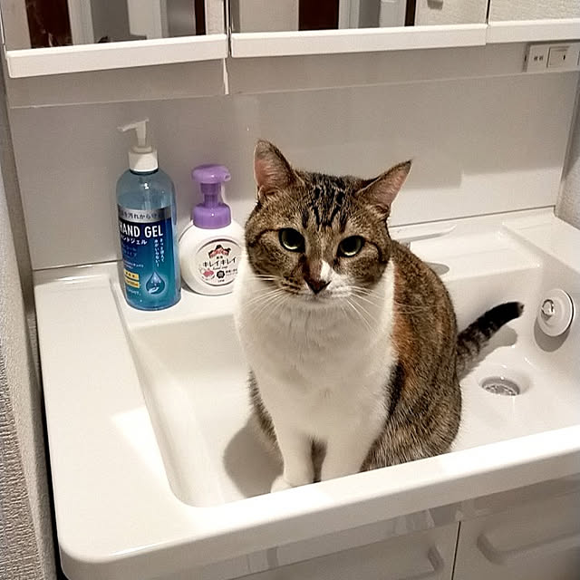 nnk.akさんの実例写真