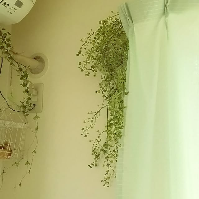 nonさんの実例写真