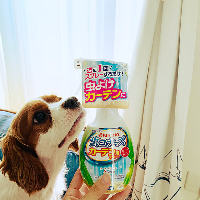 RIRITANさんの実例写真