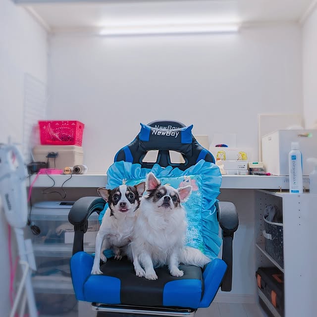 bjhorusさんの実例写真