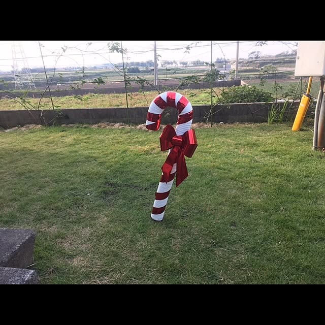 yottiさんの実例写真