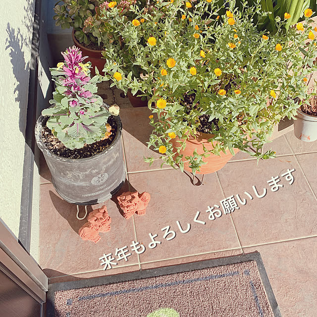 moco.nさんの実例写真