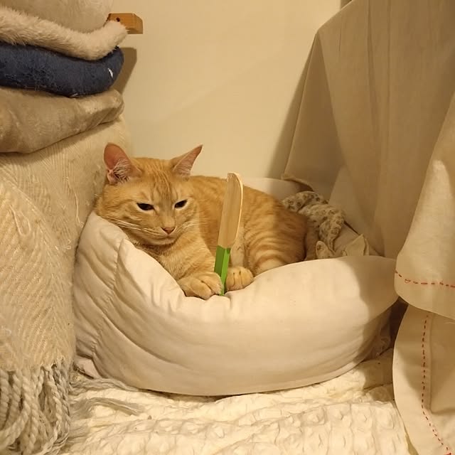 mayutan.さんの実例写真