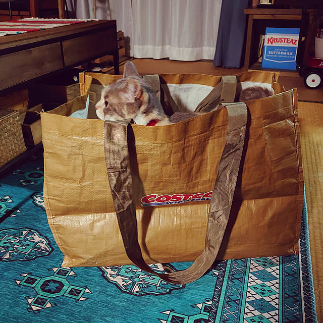 fukuさんの実例写真