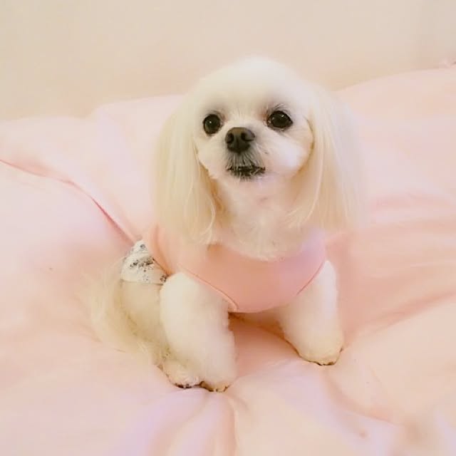 Sonokoさんの実例写真