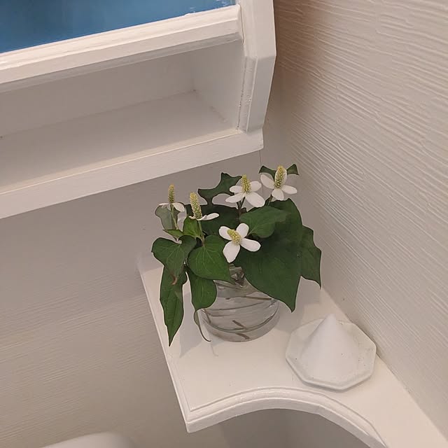 machikomamaさんの部屋