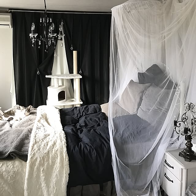 Shihoさんの実例写真