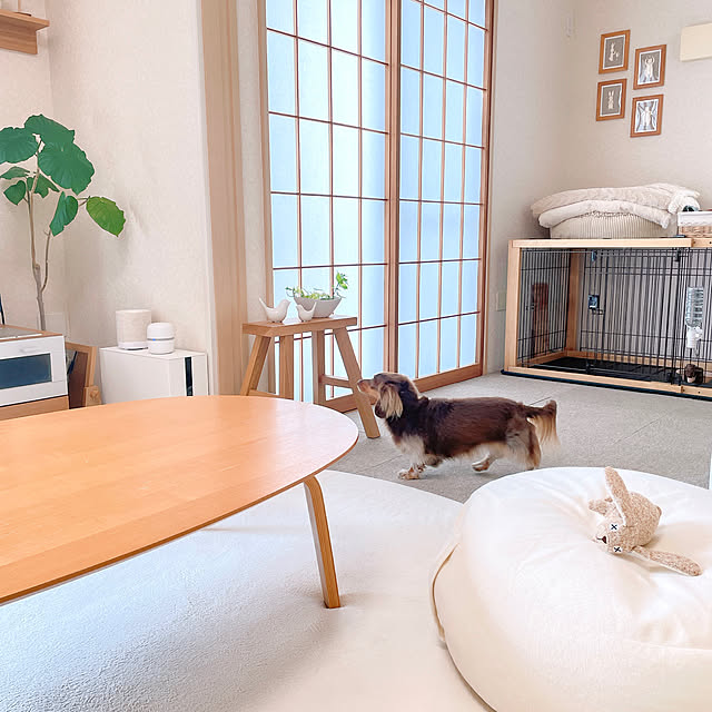rinoさんの部屋