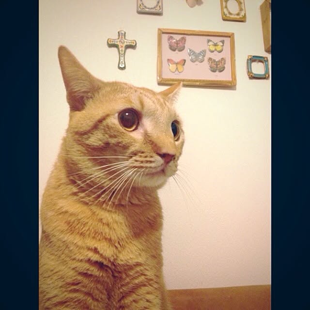 n-sanさんの実例写真