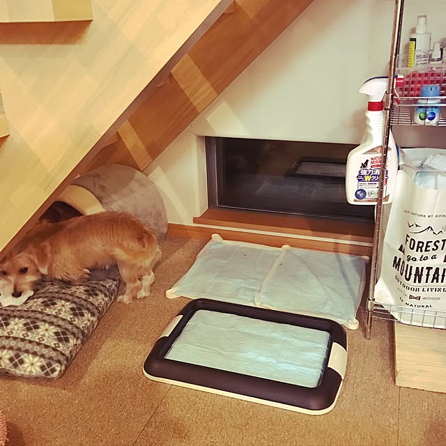 megu_mamaさんの実例写真
