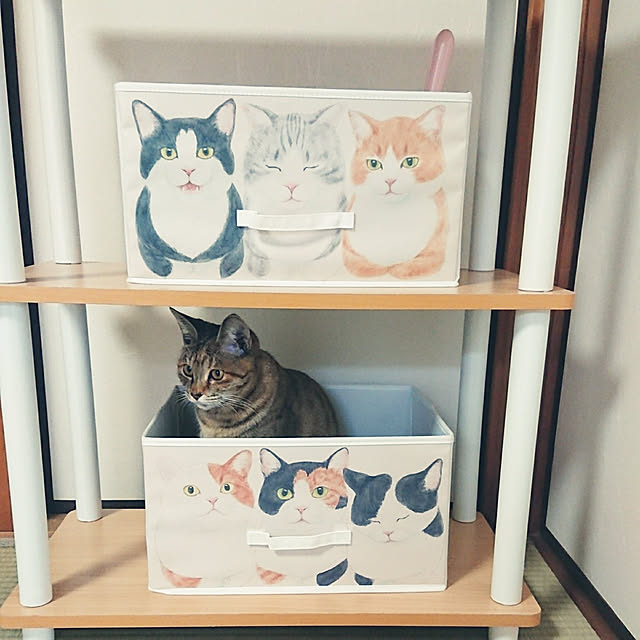tsukushiさんの実例写真