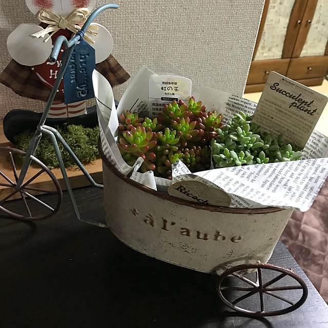naoさんの実例写真