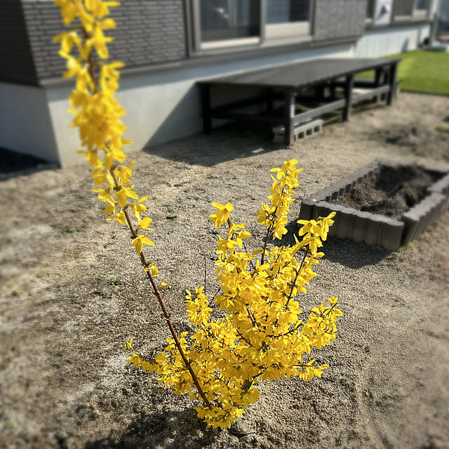 yunyumさんの部屋