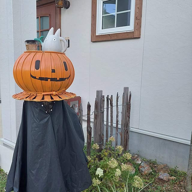 acoさんの実例写真