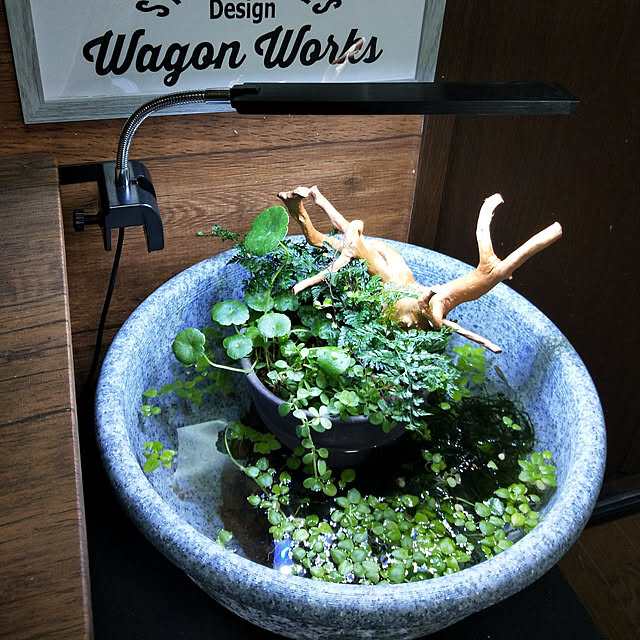 opiopiopiさんの実例写真