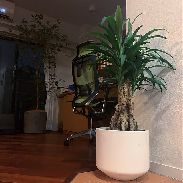 louisさんの実例写真