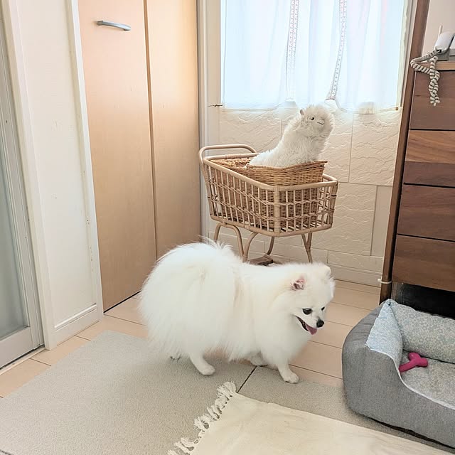 tilolさんの部屋