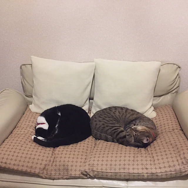 kirinさんの実例写真