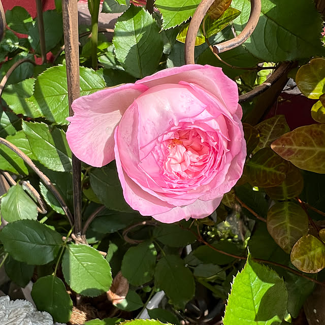 AYUKOさんの部屋