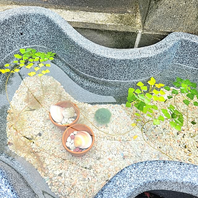 RAMIEさんの部屋
