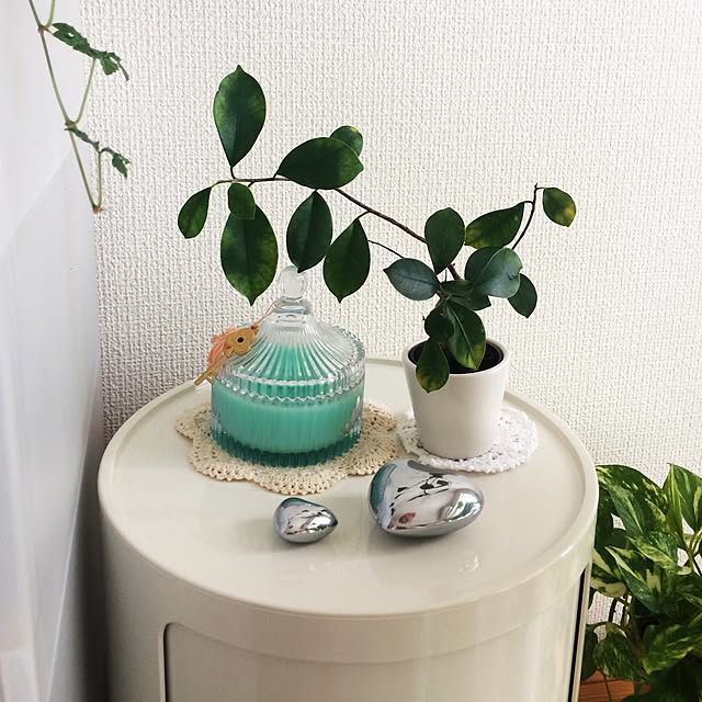 Hanaさんの実例写真