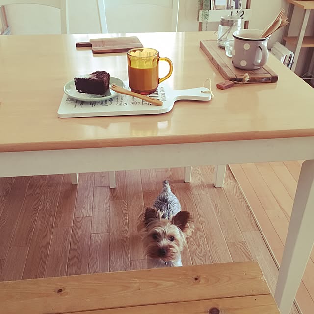 mayuoさんの実例写真