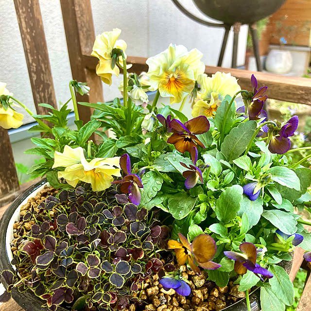 green.green.greenさんの部屋