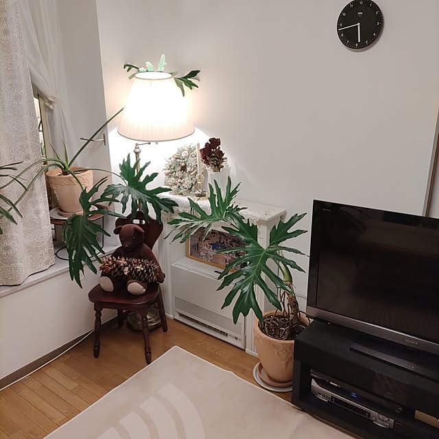 nyankonecoさんの実例写真
