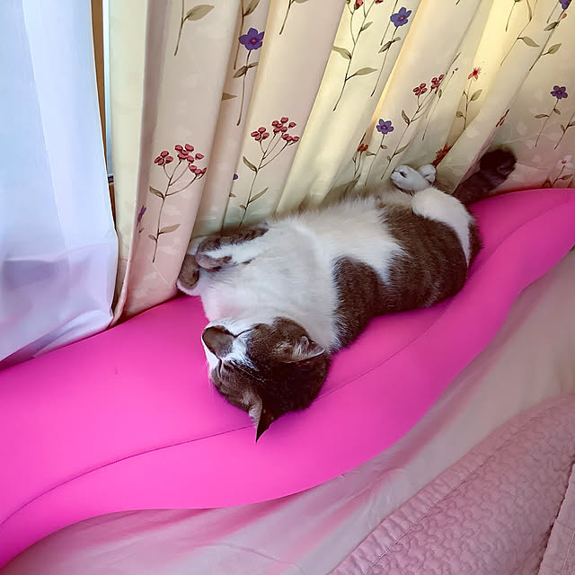 haruminさんの実例写真