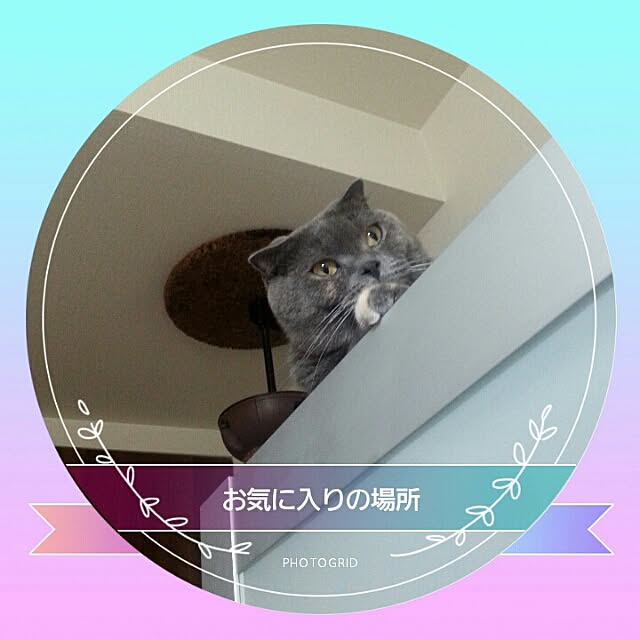 daiさんの実例写真