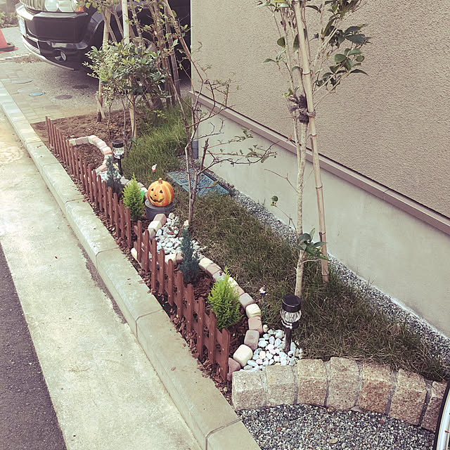 実例写真