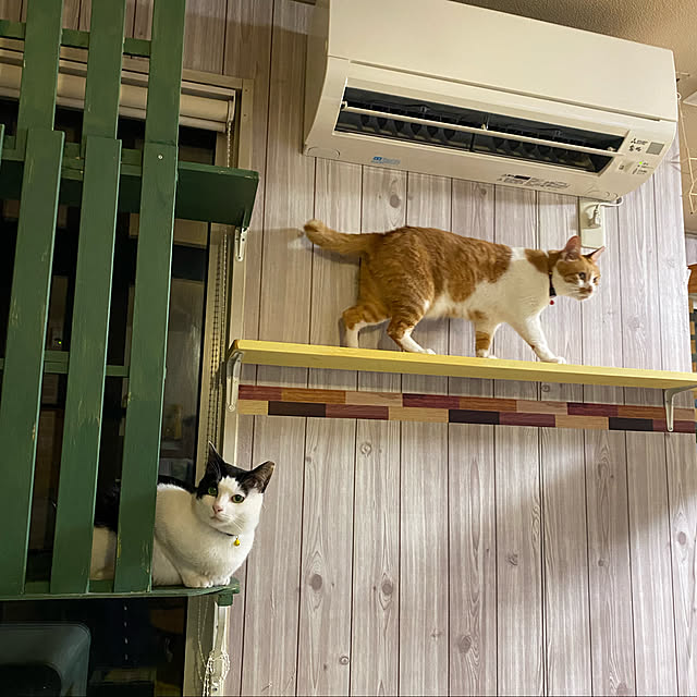 SHIHOさんの実例写真