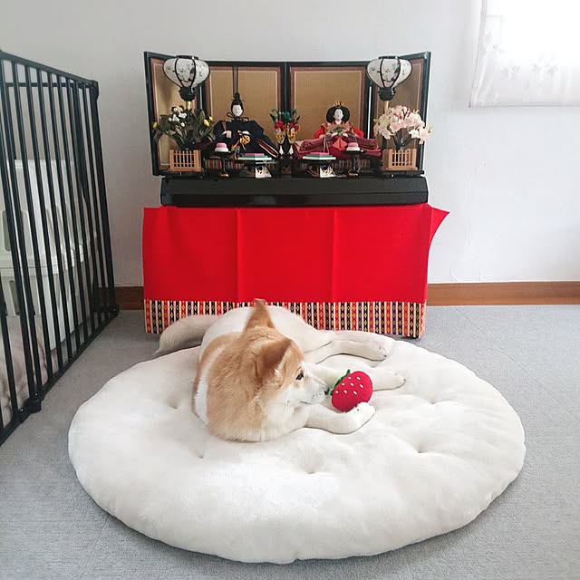 Mi-koさんの実例写真