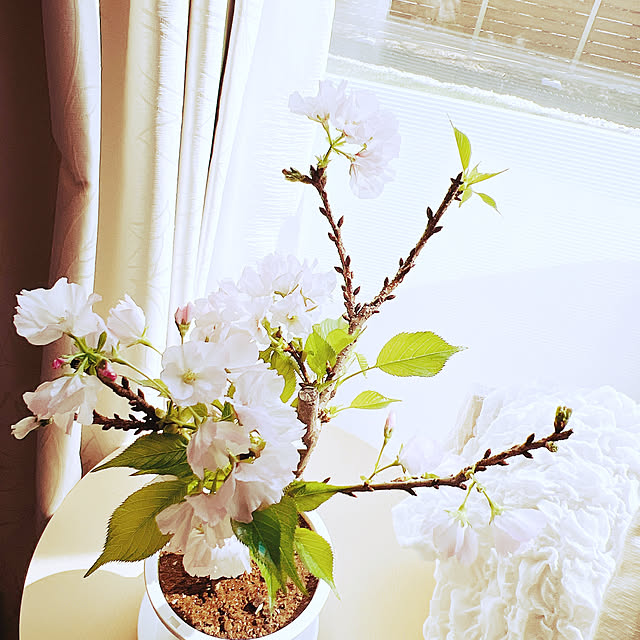 chanduさんの部屋